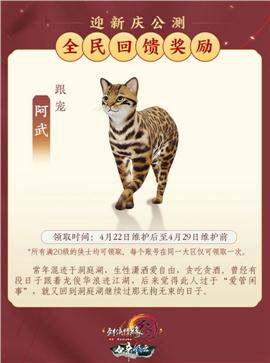 无色天龙八部私服